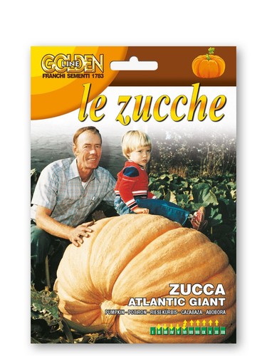 Semi zucca atlantic giant - zucca,