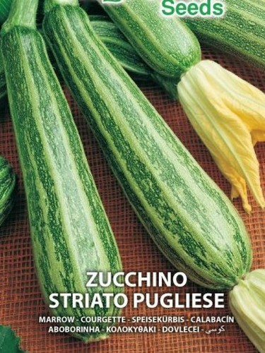 Semi zucchino striato - semi, di