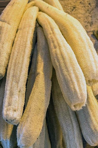 Zucca spugna luffa - zucca,