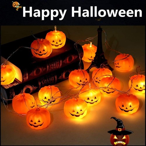 Zucca luci stringa - zucca,
