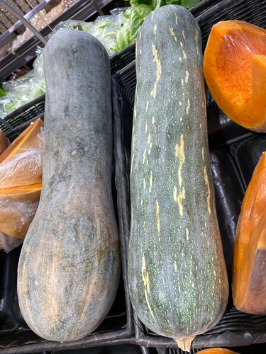 Semi zucca lunga - semi,