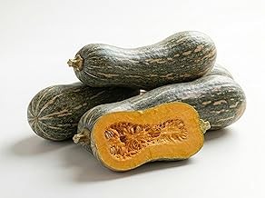 Semi zucca gialla napoli - di,