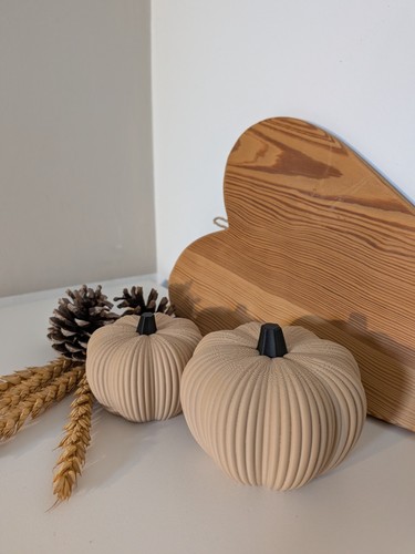 Set zucche decorative - set,