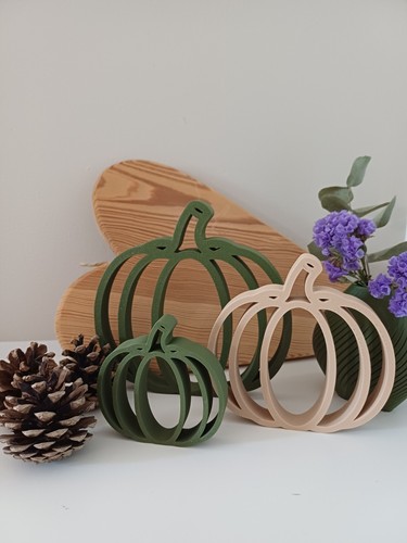 Set zucche decorative - zucche,