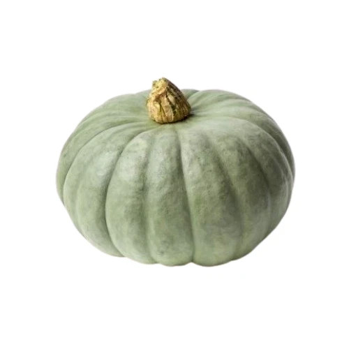 Semi zucca mantovana - semi,